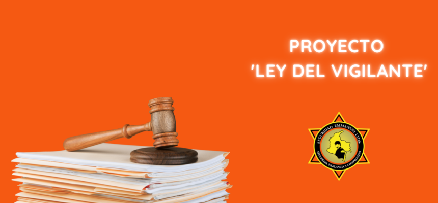 proyecto-ley-del-vigilante
