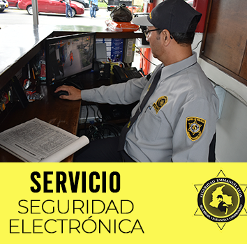 seguridad-electronica
